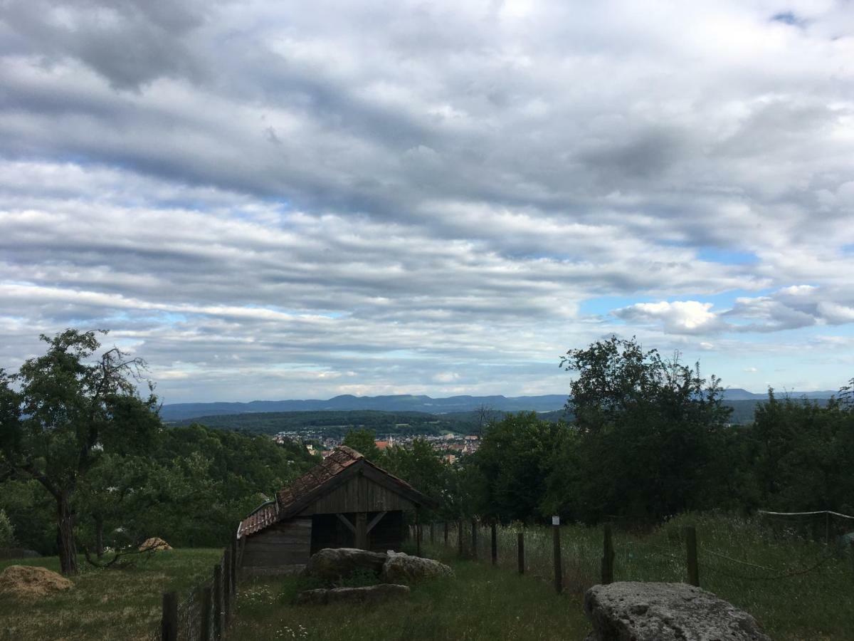 Ruhige Wohnung In Zentraler Lage Tuebingens Екстериор снимка